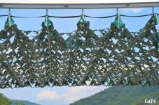 182747_10.jpg  : 101 KB