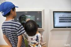 182747_6.jpg  : 46 KB