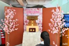 182747_8.jpg  : 62 KB