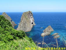 182748_1.jpg  : 77 KB