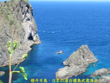 182748_2.jpg  : 69 KB