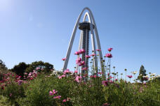 182753_1.jpg  : 137 KB