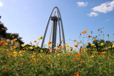 182753_2.jpg  : 183 KB