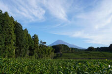 182754_1.jpg  : 230 KB