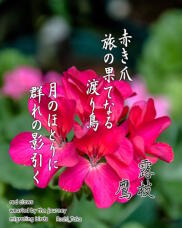 182757_1.jpg  : 200 KB