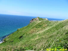 182767_1.jpg  : 79 KB