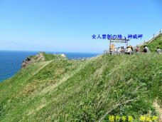 182777_2.jpg  : 82 KB