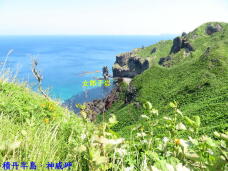 182777_3.jpg  : 91 KB