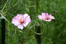 182783_3.jpg  : 100 KB