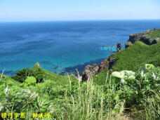 182787_2.jpg  : 81 KB