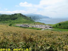 182787_3.jpg  : 75 KB