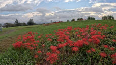 182793_1.jpg  : 282 KB