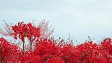 182801_3.jpg  : 104 KB