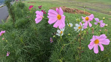 182805_1.jpg  : 325 KB