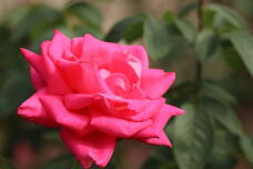 182807_2.jpg  : 72 KB