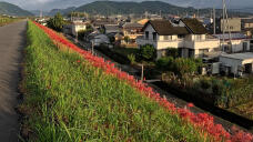 182813_1.jpg  : 307 KB