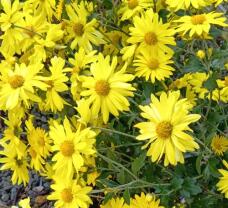 182814_1.jpg  : 82 KB