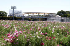 182817_1.jpg  : 214 KB