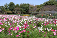 182817_3.jpg  : 237 KB