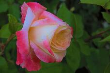 182823_1.jpg  : 60 KB