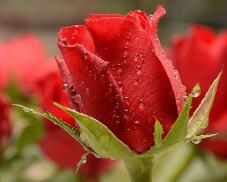 182823_3.jpg  : 109 KB