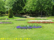 182861_2.jpg  : 98 KB