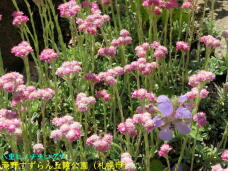 182861_3.jpg  : 94 KB