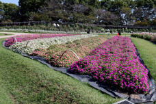 182867_3.jpg  : 278 KB