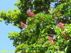 182872_2.jpg  : 109 KB