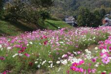 182877_1.jpg  : 322 KB