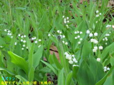 182885_2.jpg  : 58 KB