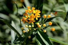 182888_3.jpg  : 109 KB