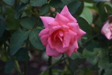 182892_1.jpg  : 83 KB