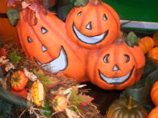 182900_1.jpg  : 48 KB