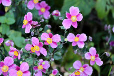 182903_1.jpg  : 126 KB