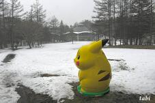 182914_4.jpg  : 80 KB