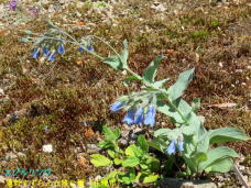 182915_3.jpg  : 119 KB