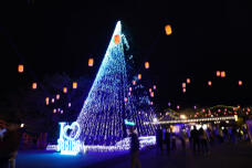 182922_1.jpg  : 181 KB