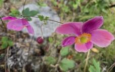 182925_1.jpg  : 28 KB