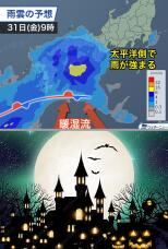 182933_2.jpg  : 187 KB