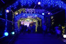 182935_1.jpg  : 273 KB