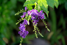 182937_2.jpg  : 117 KB