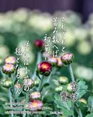 182943_1.jpg  : 207 KB