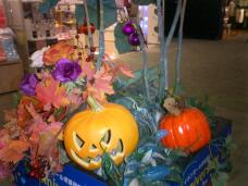 182944_1.jpg  : 122 KB