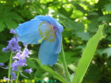 182951_2.jpg  : 47 KB