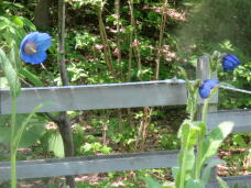 182951_3.jpg  : 78 KB