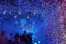 182955_1.jpg  : 453 KB