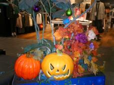 182957_1.jpg  : 123 KB