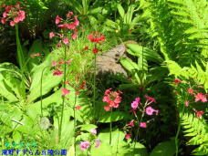 182963_2.jpg  : 100 KB