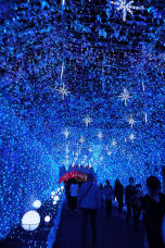 182967_1.jpg  : 440 KB